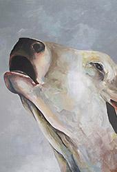 Paintings of Animals