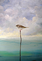 Paintings of Birds